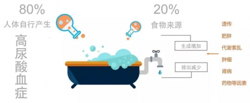 『降尿酸远离痛风』，一定要记住这5个字！