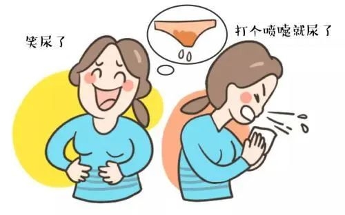 “医生，为啥我一咳嗽就漏尿？”