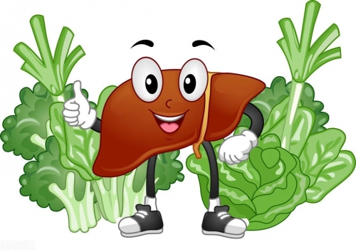 肝功能异常，谷丙转氨酶升高是怎么回事？