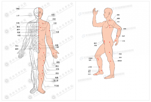 让您冰冰凉的手、脚暖起来，弘普中医教你这样做