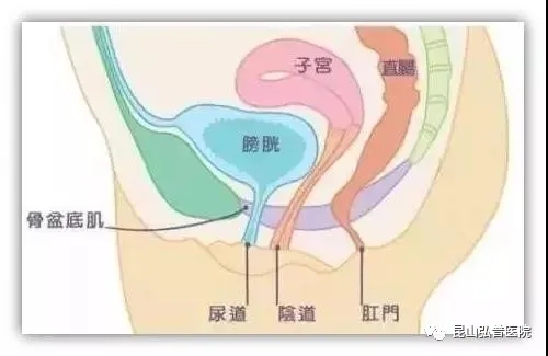 【昆山弘普医院】24岁就漏尿是一种什么样的体验？.jpg