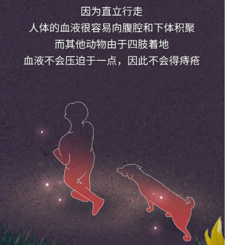 12.png
