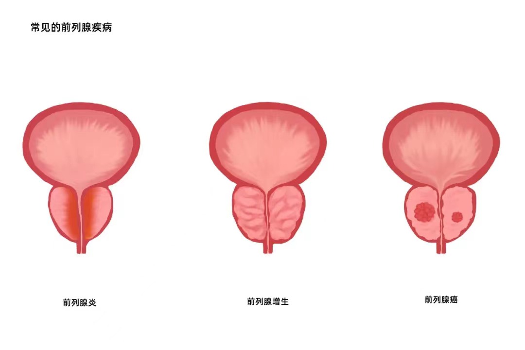 微信图片_20221010094950.jpg