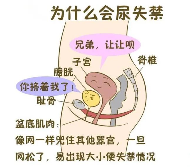 微信图片_20221205103518.jpg