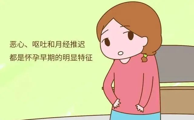 ad5ce81b47b4ff6c0e97559836759ba0.jpg