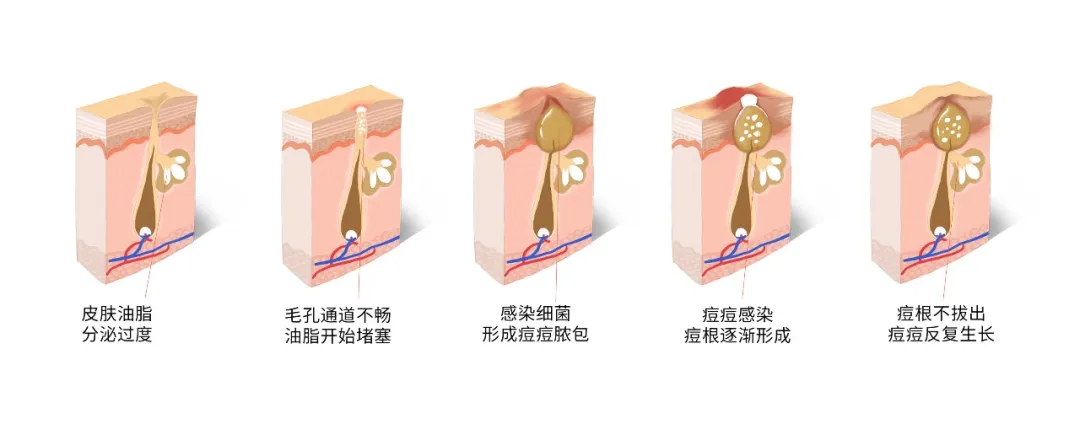 企业微信截图_1715499522940.png