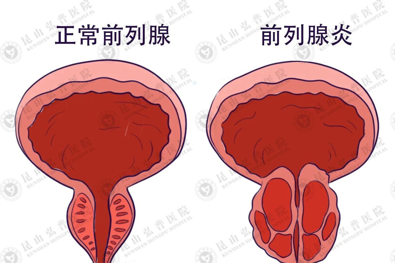 微信图片_20240927132329.jpg