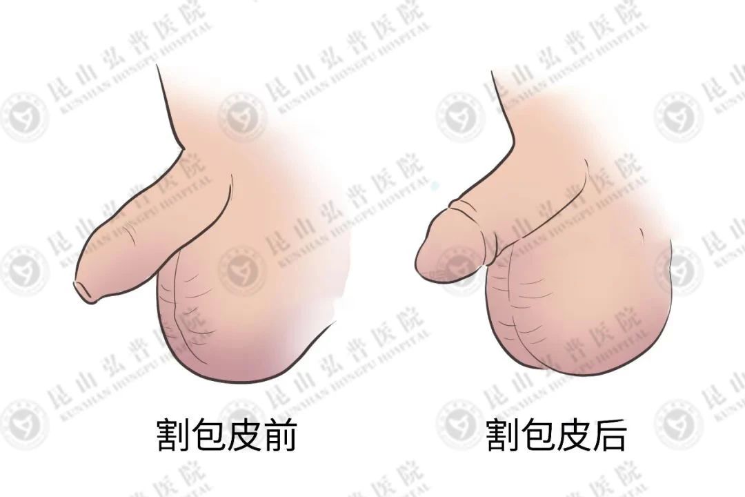 微信图片_20240928093857.jpg