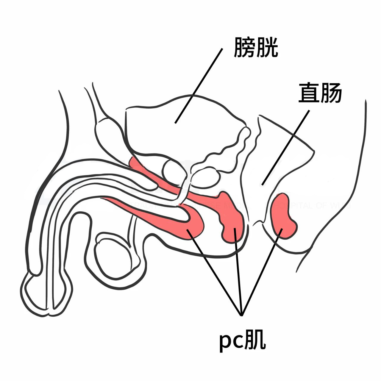 微信图片_20250224153904.jpg