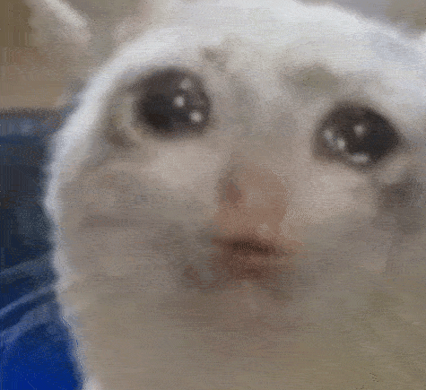微信图片_20250224162154.gif