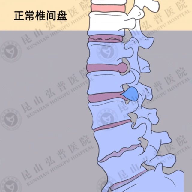 微信图片_20250310113246.jpg